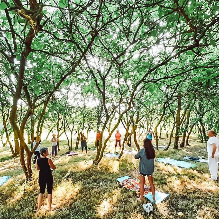 Agriturismo La Sorgente Camerano Εξωτερικό φωτογραφία