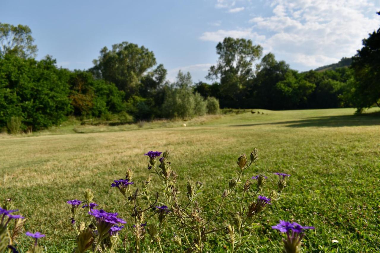 Agriturismo La Sorgente Camerano Εξωτερικό φωτογραφία