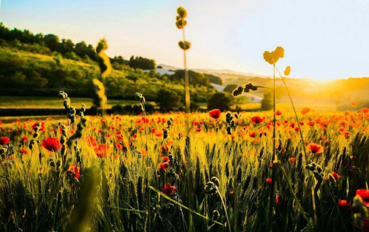 Agriturismo La Sorgente Camerano Εξωτερικό φωτογραφία