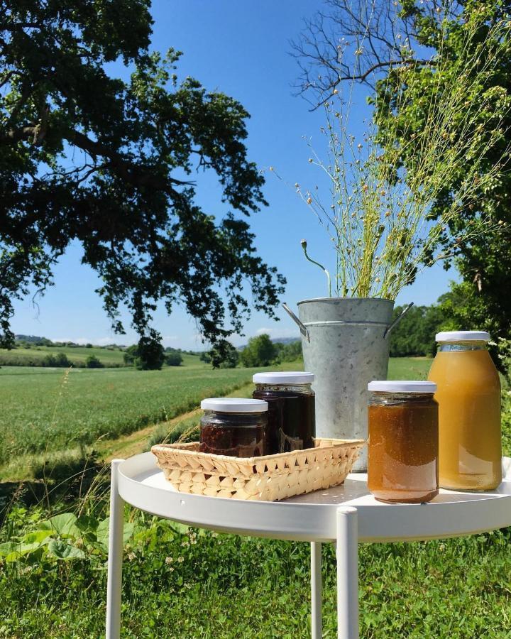 Agriturismo La Sorgente Camerano Εξωτερικό φωτογραφία