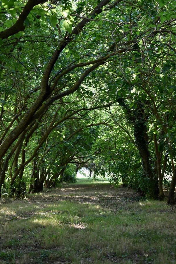 Agriturismo La Sorgente Camerano Εξωτερικό φωτογραφία