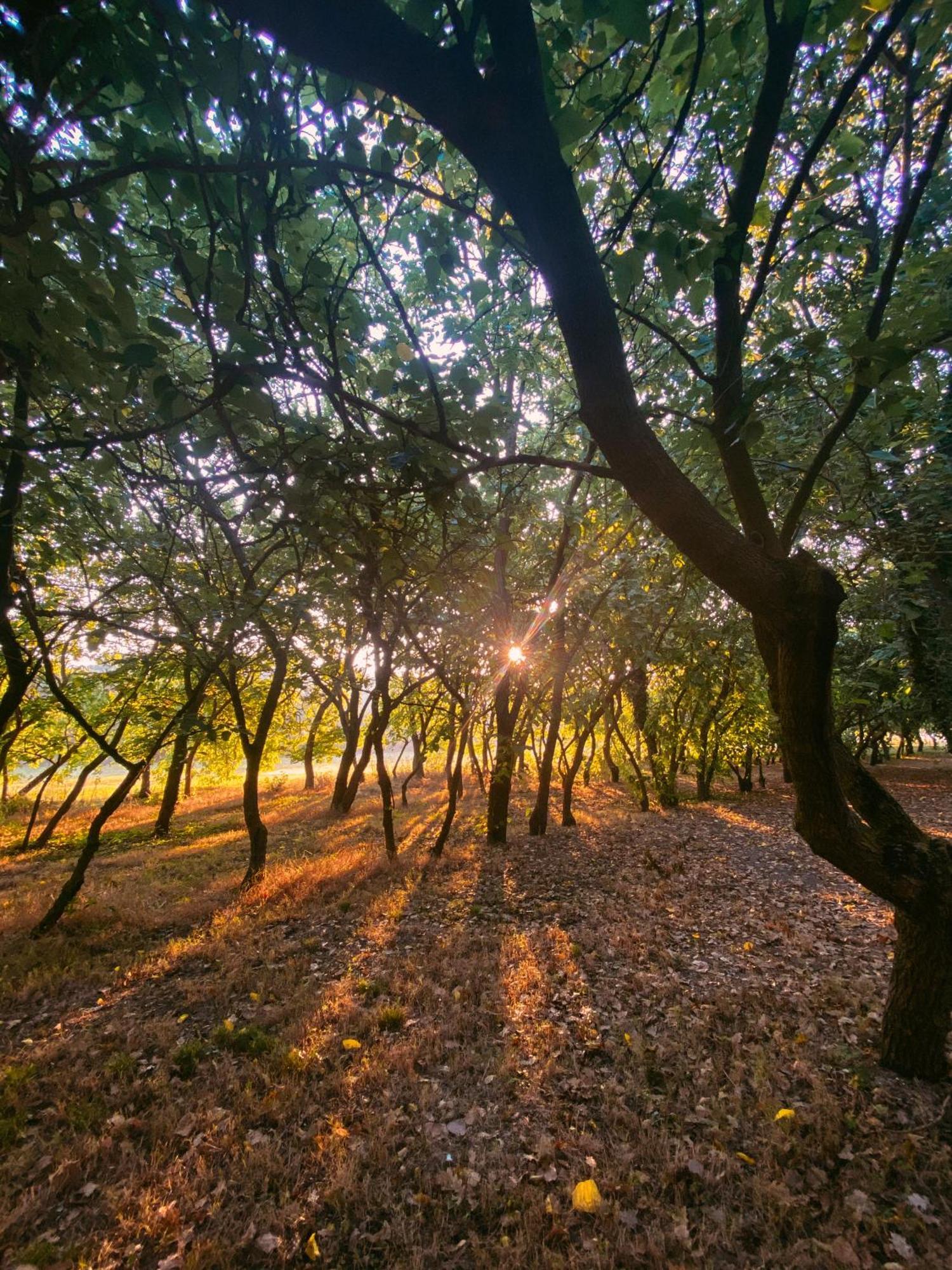 Agriturismo La Sorgente Camerano Εξωτερικό φωτογραφία