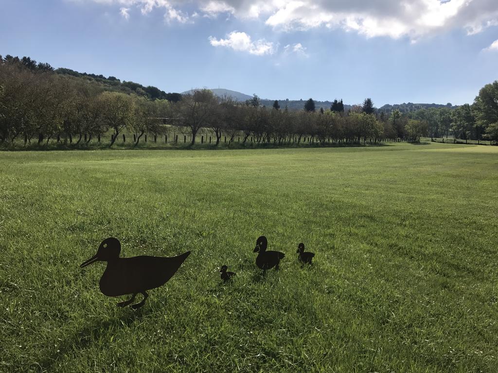 Agriturismo La Sorgente Camerano Εξωτερικό φωτογραφία
