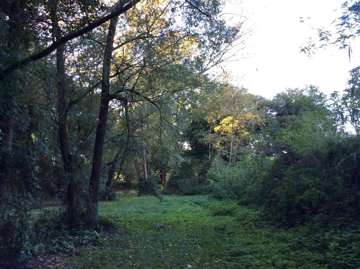 Agriturismo La Sorgente Camerano Εξωτερικό φωτογραφία