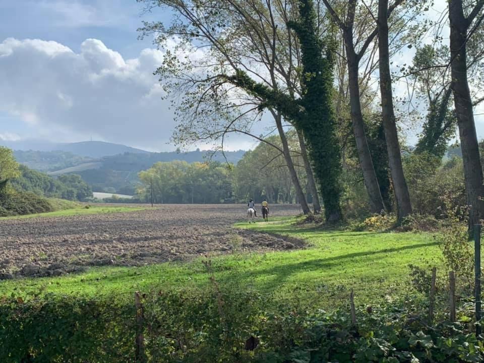 Agriturismo La Sorgente Camerano Εξωτερικό φωτογραφία